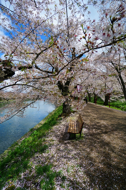 1097_弘前公園_青森