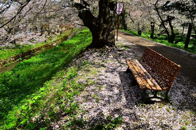 1102_弘前公園_青森