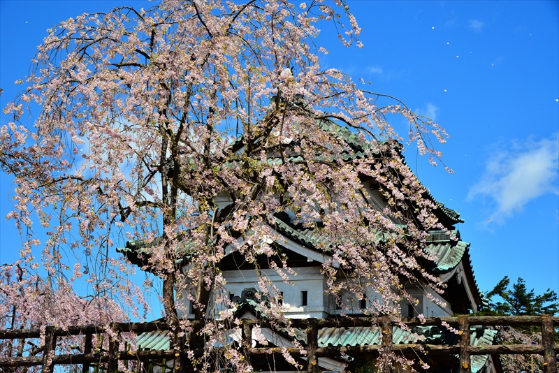 1107_弘前公園_青森