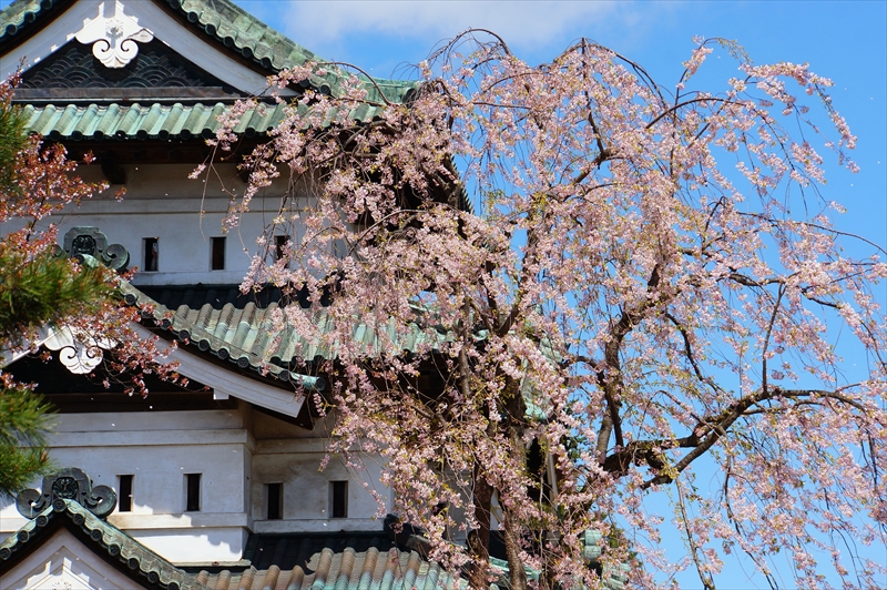 1108_弘前公園_青森