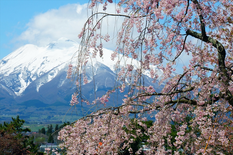 1112_弘前公園_青森