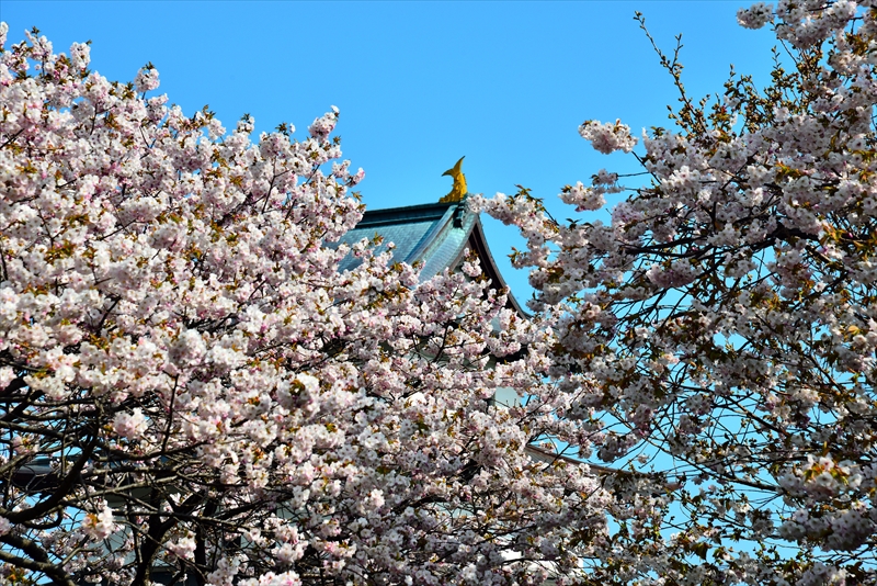 1014_松前城_北海道