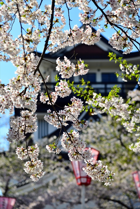 1022_横手城_秋田