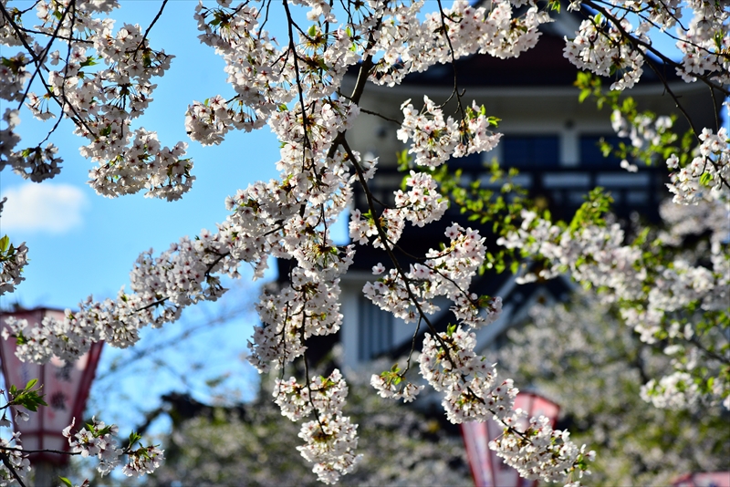 1023_横手城_秋田