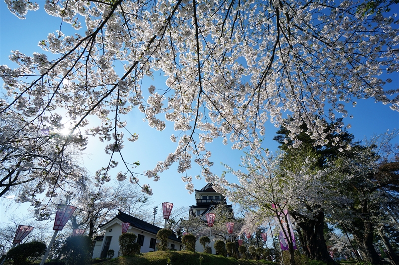 1024_横手城_秋田