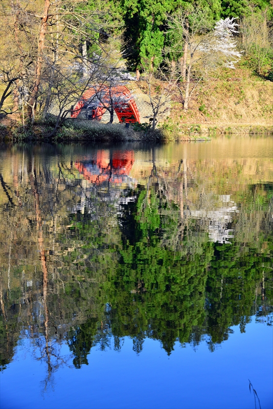 1010_横手公園牛沼_秋田