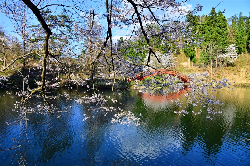 1011_横手公園牛沼_秋田
