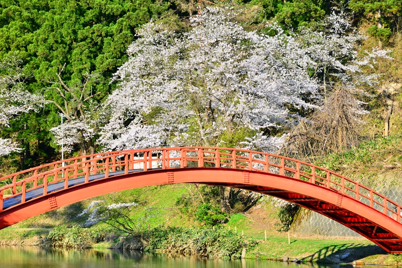 1012_横手公園牛沼_秋田