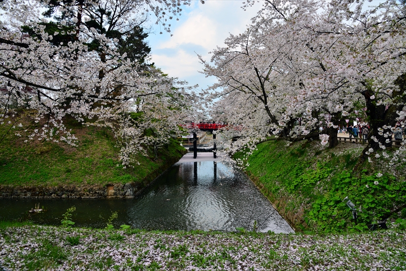 1115_弘前公園_青森