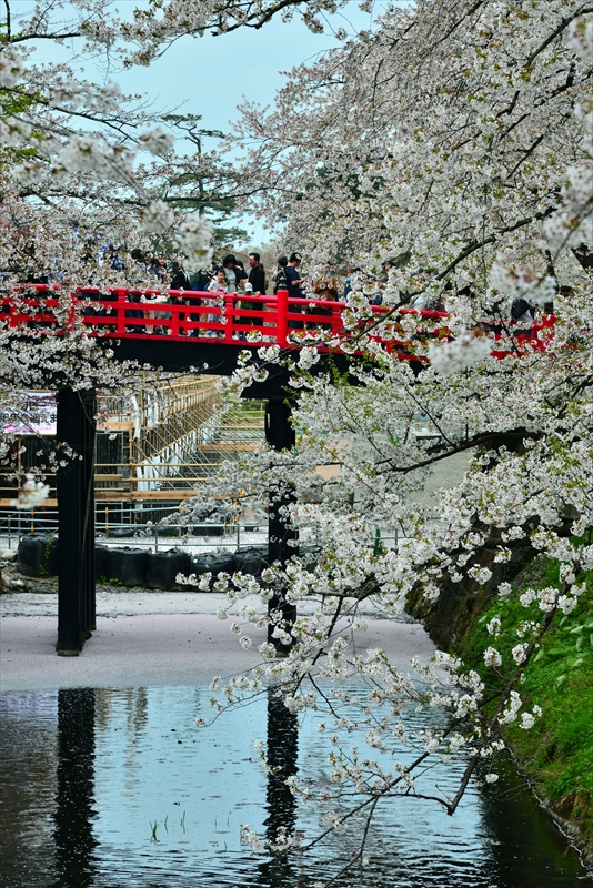 1116_弘前公園_青森