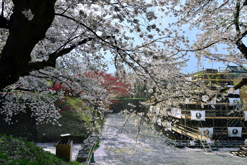 1119_弘前公園_青森