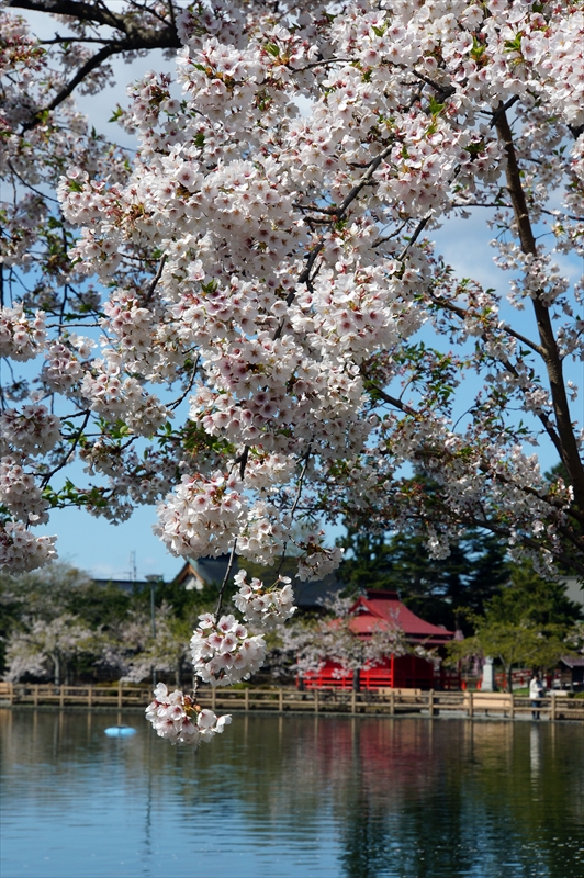 1050_猿賀公園_青森