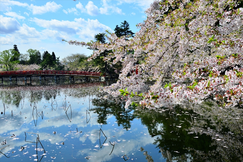 1037_猿賀公園_青森