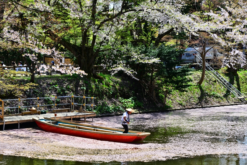 1123_弘前公園_青森