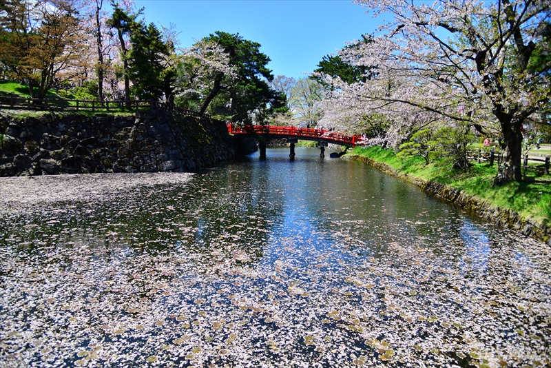 1139_弘前公園_青森