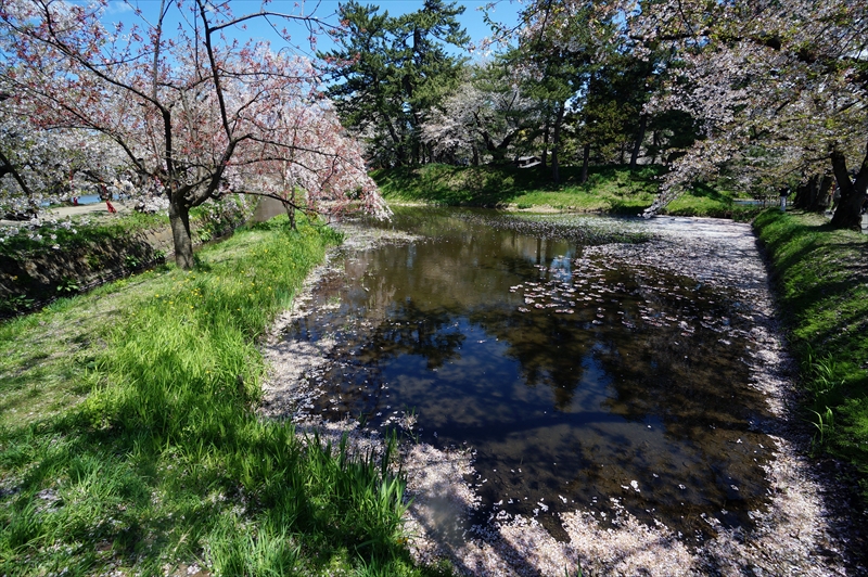 1254_弘前公園_青森
