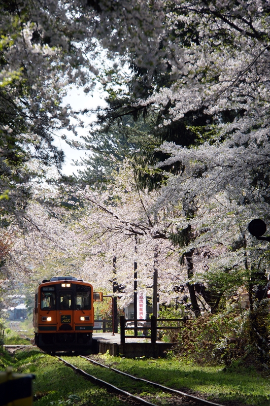 1318_芦野公園_青森