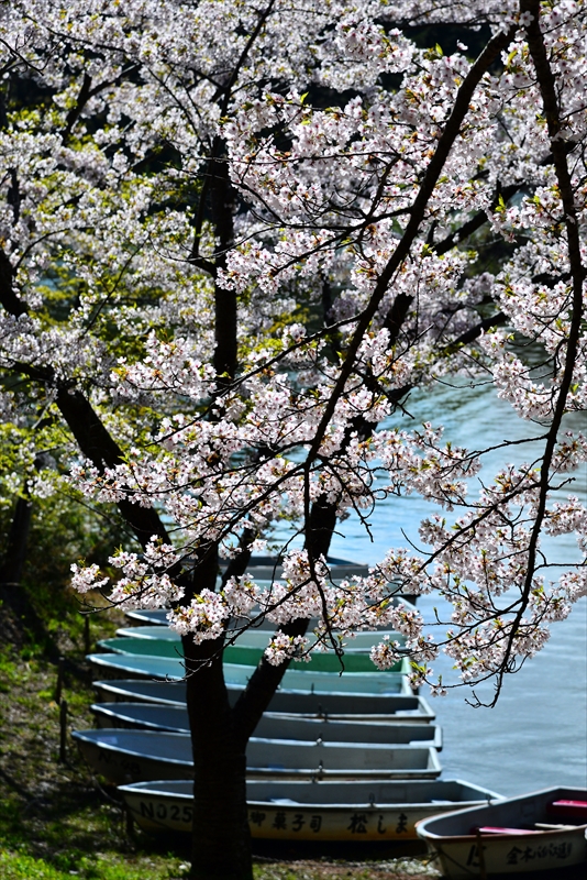 1319_芦野公園_青森