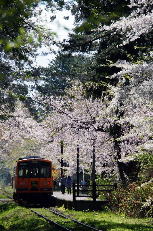 1324_芦野公園_青森