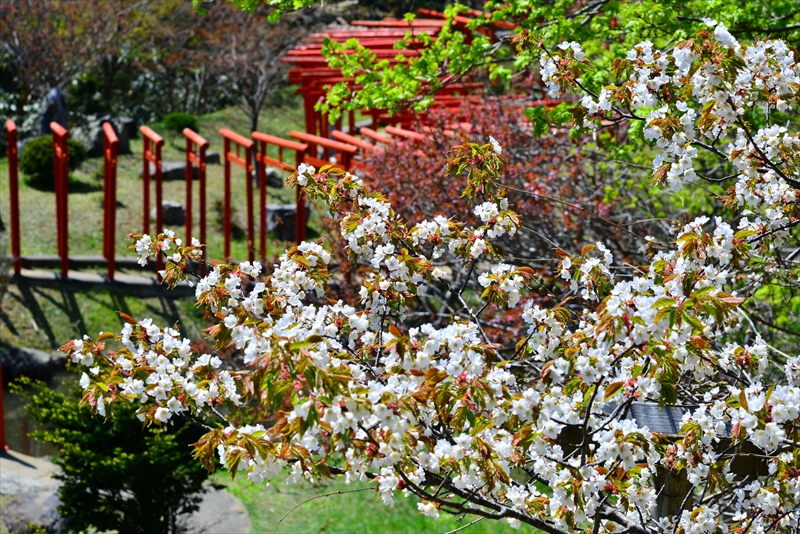 1391_高山稲荷神社_青森