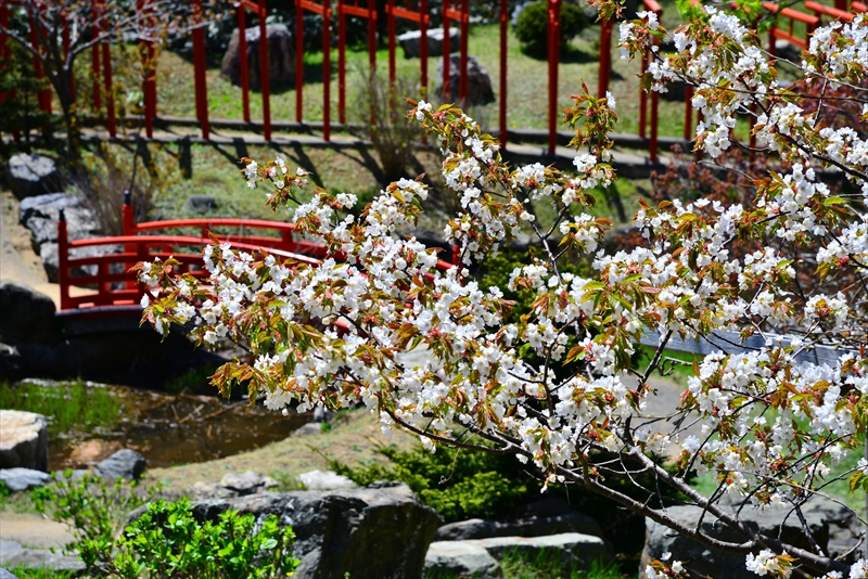 1392_高山稲荷神社_青森