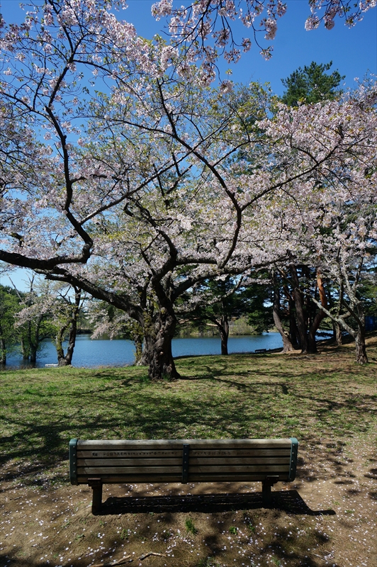 1021_青森市野木和公園_青森