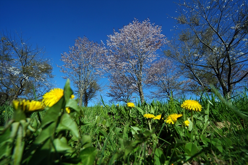1057_上磯ダム公園_北海道