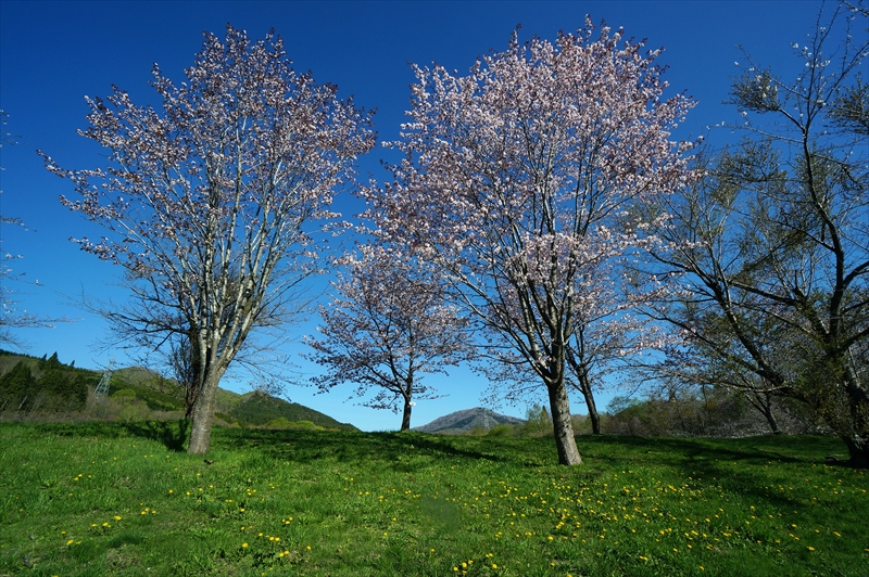 1058_上磯ダム公園_北海道