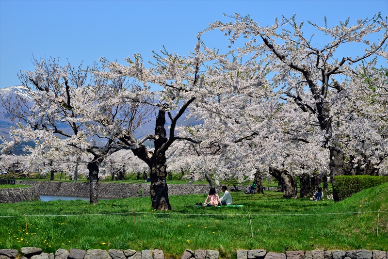 1073_函館五稜郭公園_北海道