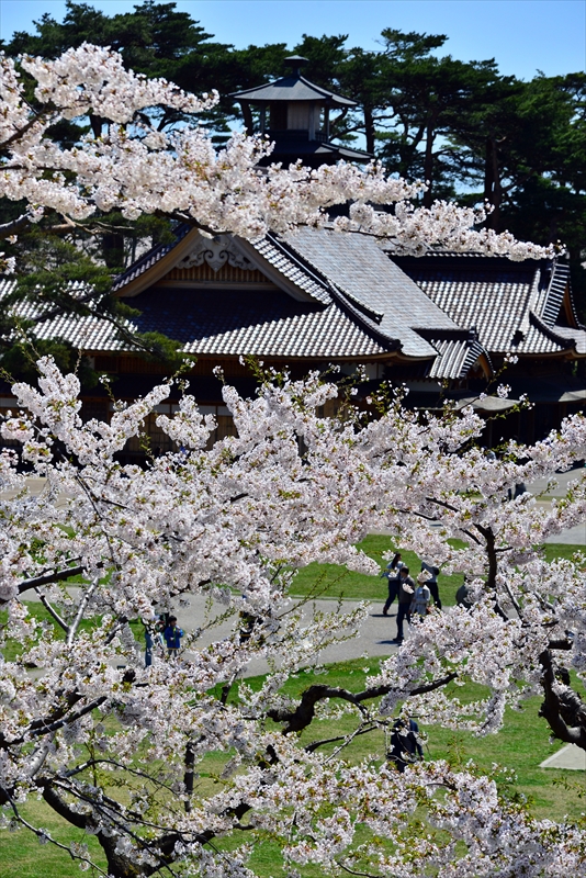 1085_函館五稜郭公園_北海道