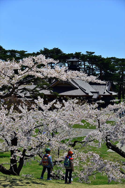 1086_函館五稜郭公園_北海道