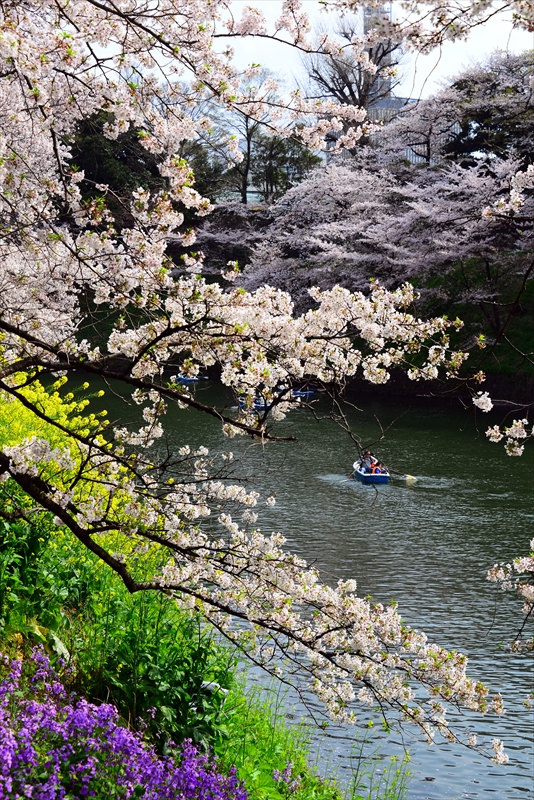 1097_千鳥ヶ淵_東京