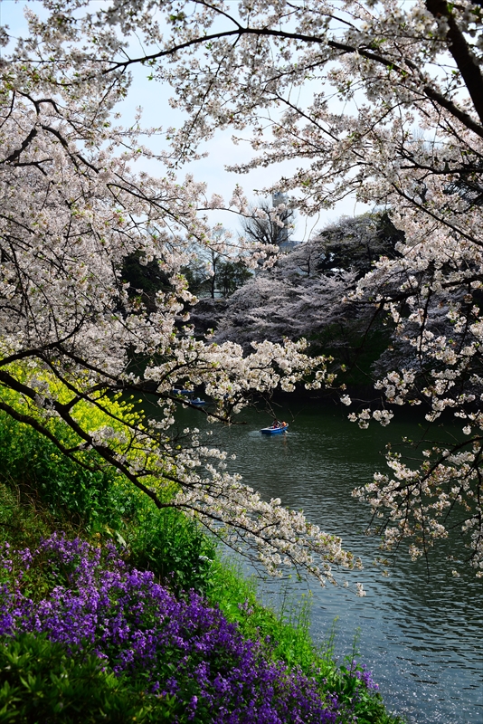 1098_千鳥ヶ淵_東京