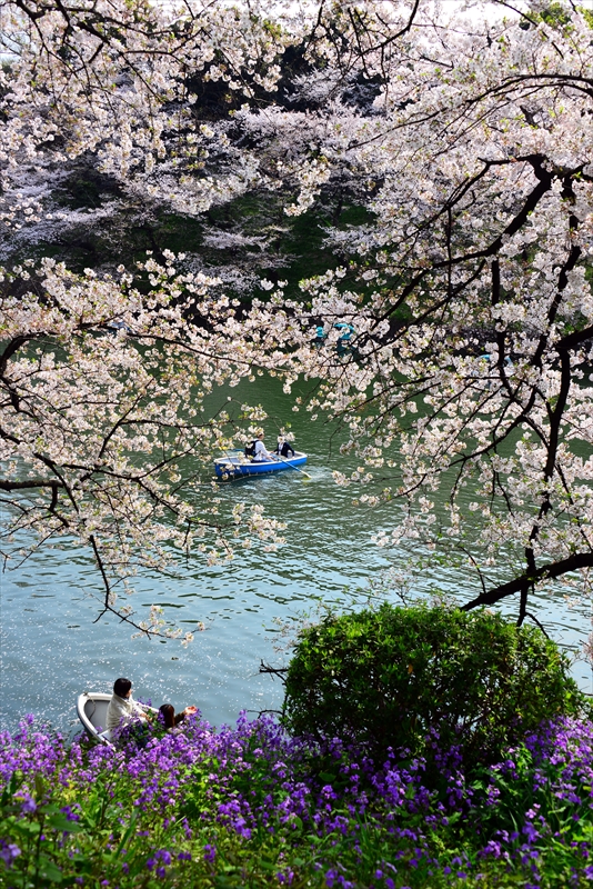 1099_千鳥ヶ淵_東京