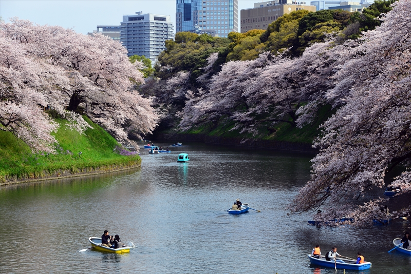 1101_千鳥ヶ淵_東京