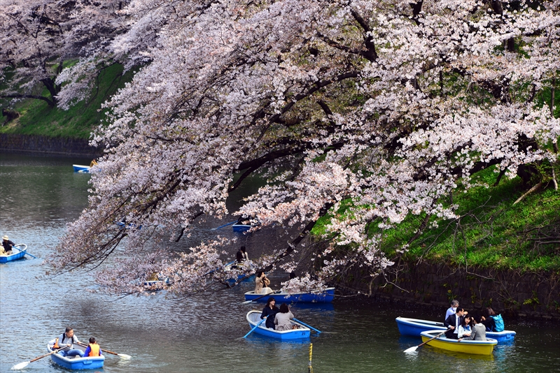 1102_千鳥ヶ淵_東京