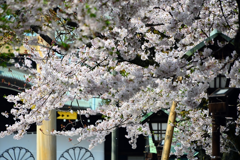 1017_靖国神社_東京