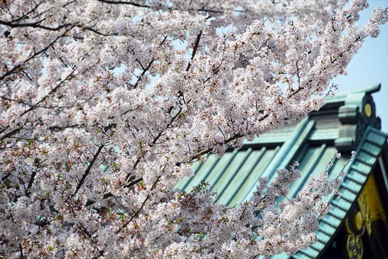 1018_靖国神社_東京