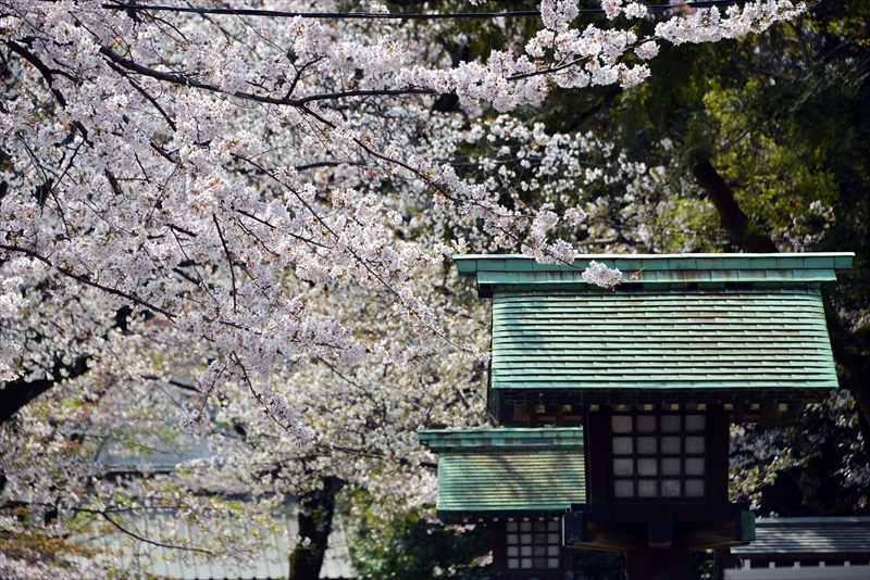 1019_靖国神社_東京