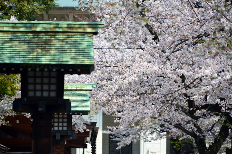 1021_靖国神社_東京