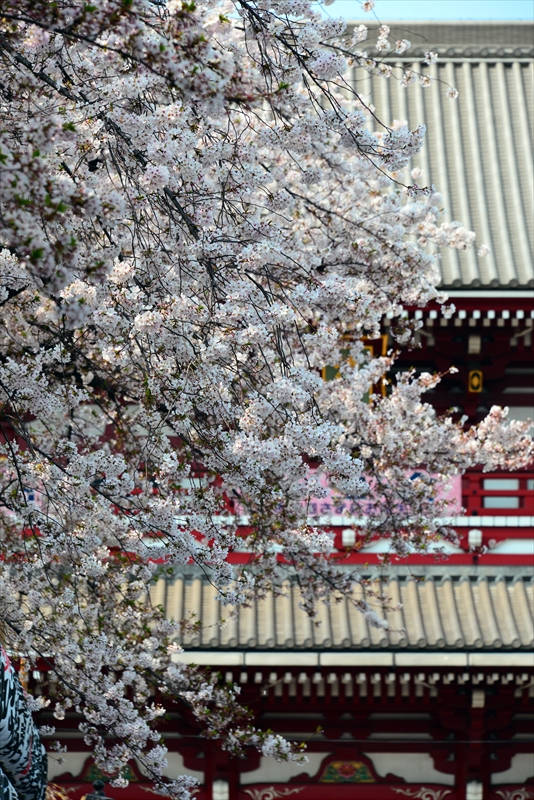 1061_浅草寺_東京