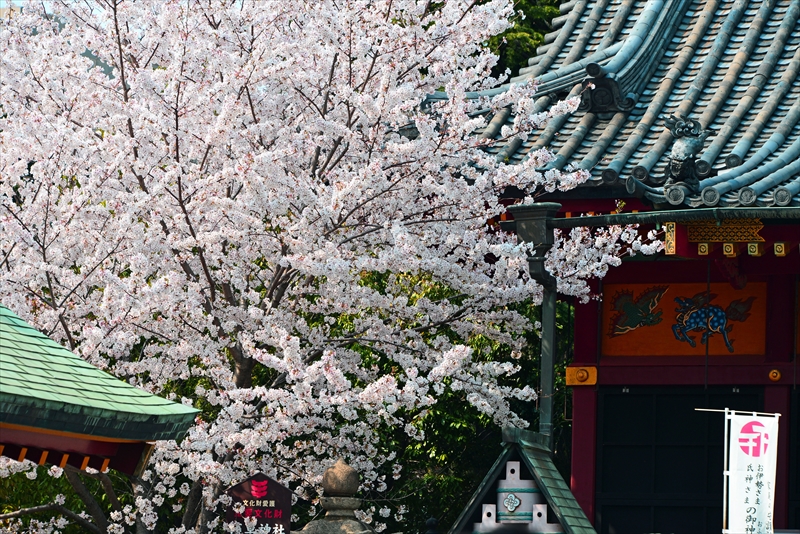 1063_浅草寺_東京