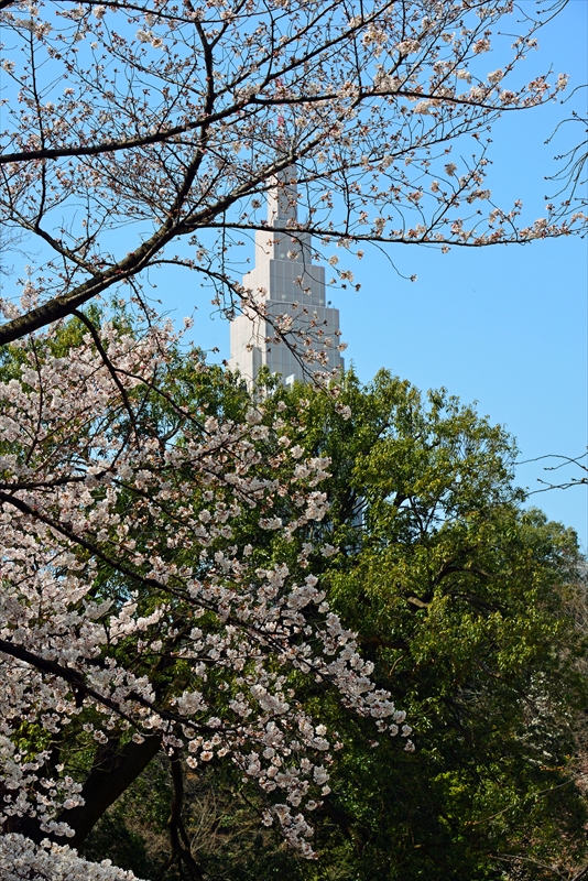 1121_新宿御苑_東京