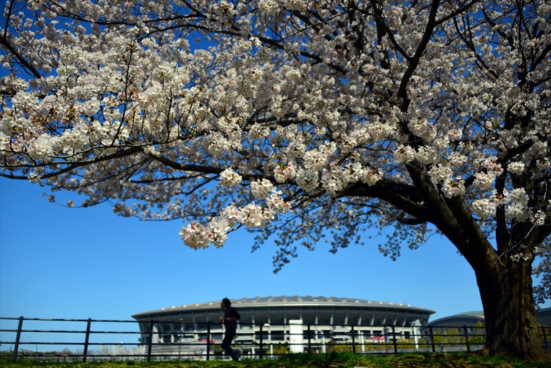 1084_新横浜公園_神奈川