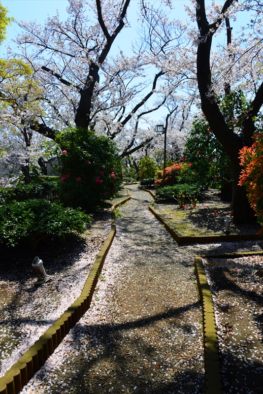 1106_孝道山_神奈川