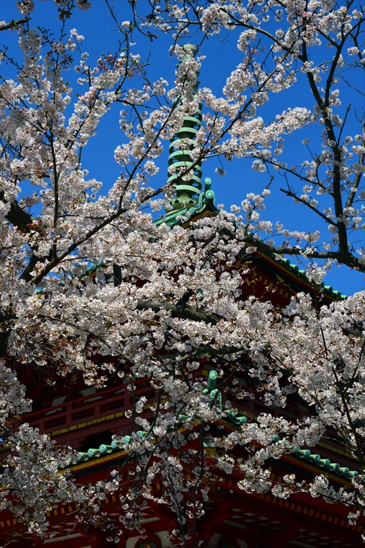 1107_孝道山_神奈川