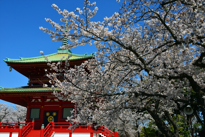 1114_孝道山_神奈川