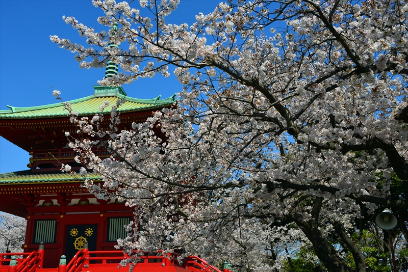 1115_孝道山_神奈川