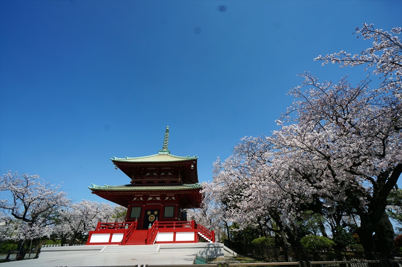 1116_孝道山_神奈川