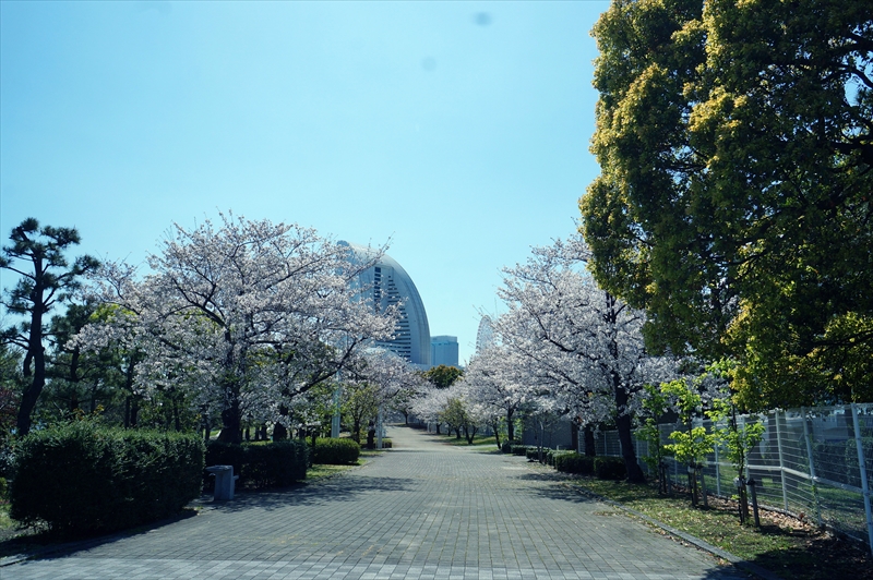 1068_なとみらい_神奈川